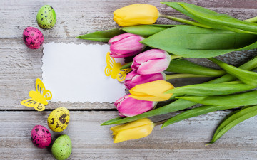 Картинка праздничные пасха цветы яйца colorful тюльпаны happy pink flowers tulips easter eggs