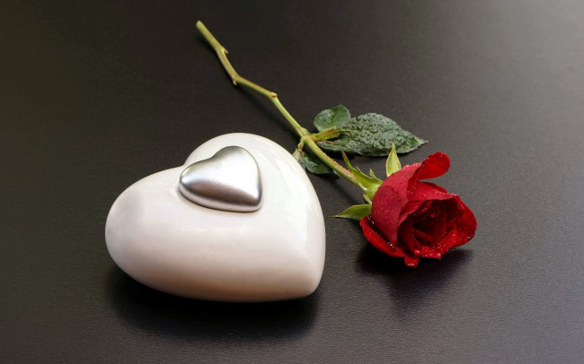 Обои картинки фото праздничные, день святого валентина,  сердечки,  любовь, сердце, роза, бутон
