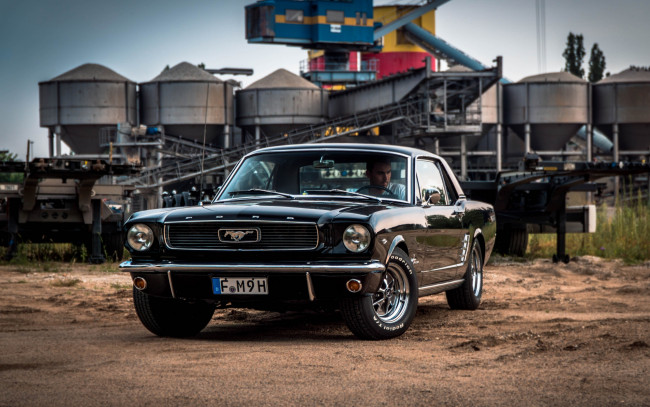Обои картинки фото 1967 ford mustang, автомобили, mustang, 1967, ford, ретро, черный, купе, американские