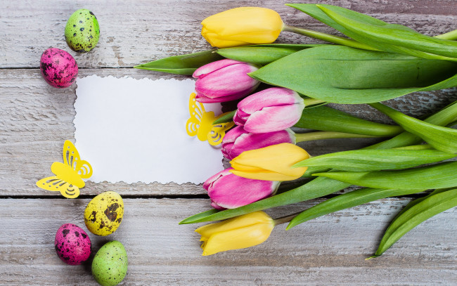 Обои картинки фото праздничные, пасха, цветы, яйца, colorful, тюльпаны, happy, pink, flowers, tulips, easter, eggs