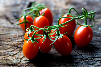 Картинка еда помидоры ветки томаты сливки