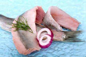Картинка еда рыбные+блюда +с+морепродуктами селедка укроп лук