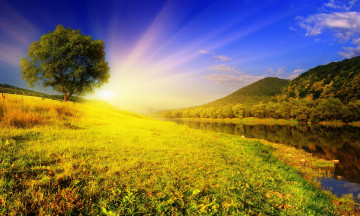 Картинка природа восходы закаты небо дерево лучи солнце рассвет вода река трава