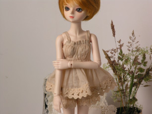 Картинка разное игрушки doll bjd кукла шарнирная платье рыжая