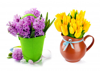 Картинка цветы разные+вместе гиацинты тюльпаны
