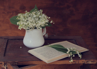 Картинка цветы ландыши книга букетик