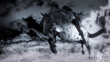 Картинка 3д+графика people+ люди галоп девушка лошадь