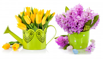 Картинка цветы разные+вместе тюльпаны гиацинты