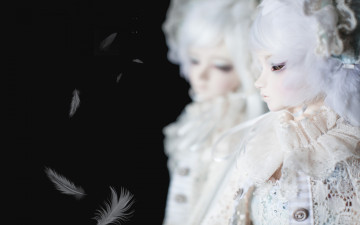 Картинка разное игрушки кукла bjd doll отражение перья белые волосы черный фон