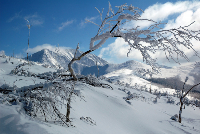 Обои картинки фото сихотэ- алинь, природа, горы, зима, сихотэ-, алинь