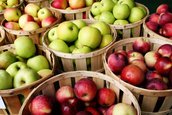 Картинка Яблоки еда плоды фрукты
