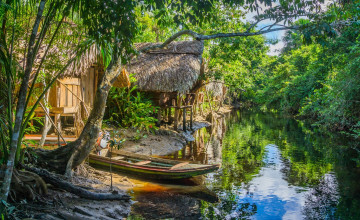 Картинка ориноко +венесуэла корабли лодки +шлюпки лодка река хижина дом джунгли