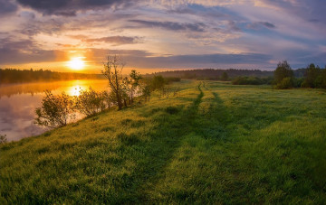 Картинка природа восходы закаты река солнце марина мурашова трава утро рассвет