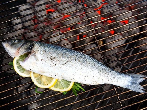 Обои картинки фото еда, рыба,  морепродукты,  суши,  роллы, угли, огонь, решетка, лимон