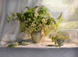 Картинка цветы черемуха букет