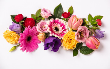 обоя цветы, разные вместе, colorful, flowers, composition, floral