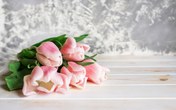 Картинка цветы тюльпаны букет нежные розовые