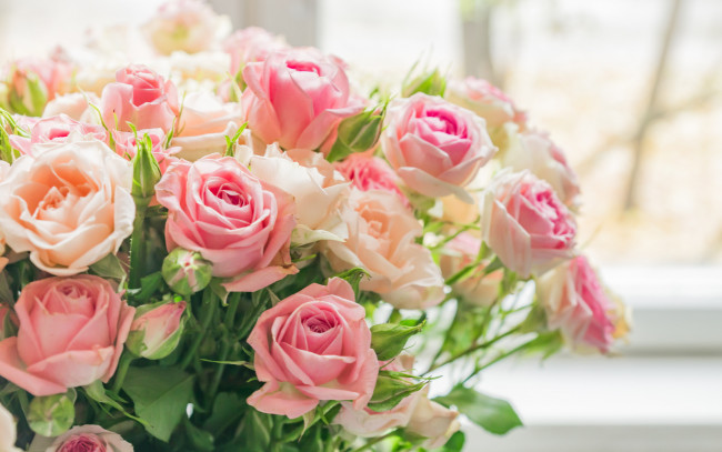 Обои картинки фото цветы, розы, букет, нежные, розовые, бежевые
