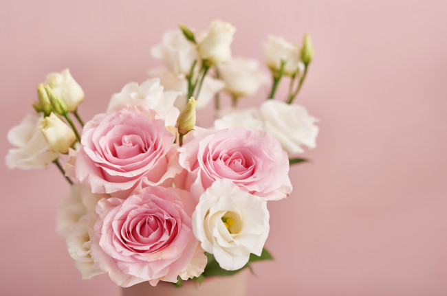 Обои картинки фото цветы, разные вместе, букет, розы, эустома