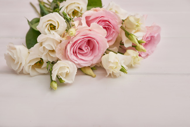 Обои картинки фото цветы, разные вместе, розы, эустома, букет