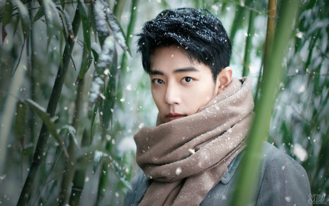 Обои картинки фото мужчины, xiao zhan, актер, шарф, лес, бамбук, снег