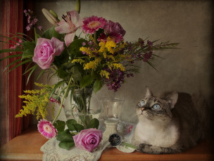 Картинка животные коты компас кошка букет цветы