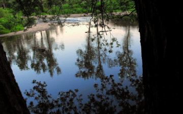 Картинка природа реки озера отражение река вода
