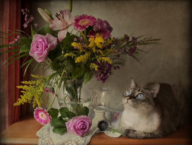 Обои картинки фото животные, коты, компас, кошка, букет, цветы