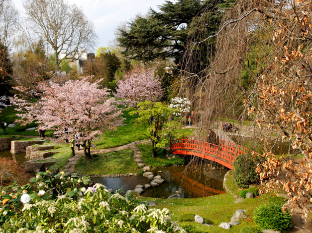 Обои картинки фото Японский, сад, альберта, кана, франция, природа, парк, s