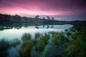 Картинка природа реки озера река трава тишина вечер облака заря