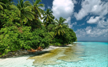 Картинка мальдивы природа тропики пляж океан трнопики пальмы