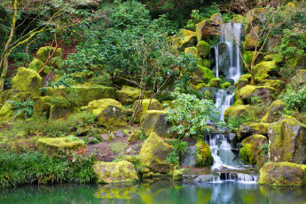 Картинка природа водопады камни лес водопад кусты