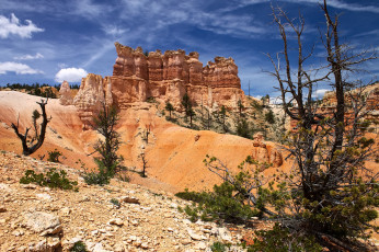 Картинка природа горы растительность камни скалы