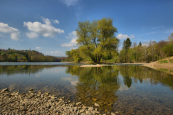 Картинка природа реки озера камни заводь река деревья
