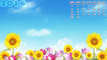 Картинка календари цветы космея подсолнухи