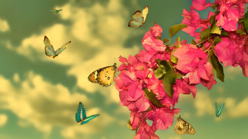 Картинка разное компьютерный+дизайн ветка бабочки цветы листья