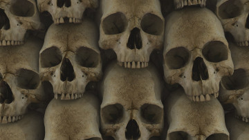 Картинка разное кости +рентген черепа