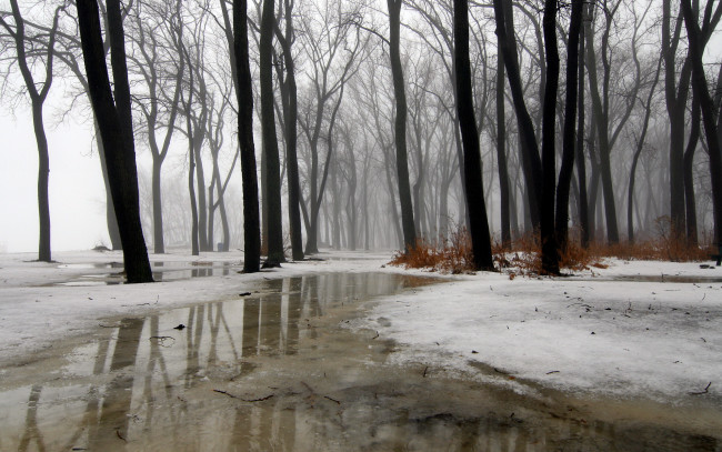 Обои картинки фото природа, зима, ice, snow, wintermission, rain, water, fog