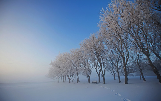 Обои картинки фото природа, зима, следы, туман, лавочка, деревья, снег
