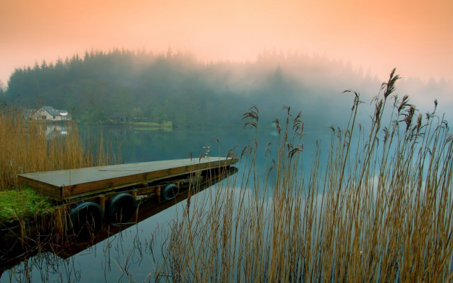 Обои картинки фото природа, реки, озера, дом, мостки, камыши, туман, озеро