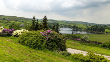 Картинка природа пейзажи дорога озеро цветы поля горы