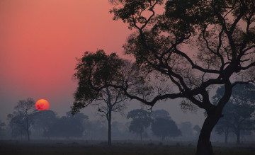 Картинка природа восходы закаты небо солнце рассвет туман деревья