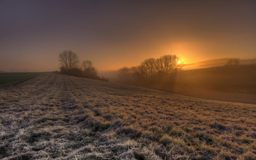 Картинка природа восходы закаты поле закат туман