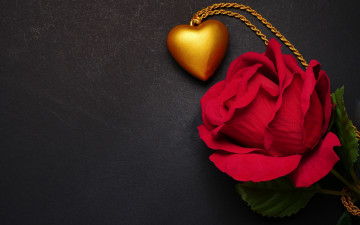 Картинка праздничные день+святого+валентина +сердечки +любовь роза цепочка сердечко