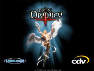 Картинка divine divinity видео игры