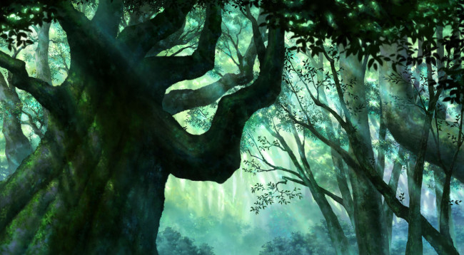 Обои картинки фото рисованное, природа, ветки, деревья, лес, iy, tujiki, листья