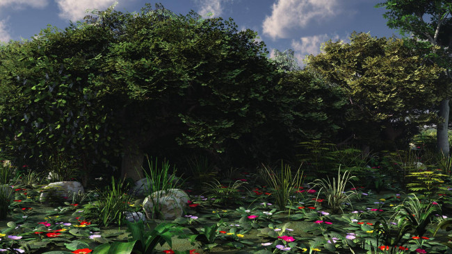 Обои картинки фото 3д графика, природа , nature, вода, цветы, камни, облака, деревья