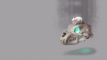 Картинка рисованное минимализм крыса череп