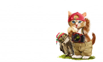 Картинка рисованное животные +коты кот детская арт lorri kajenna сова
