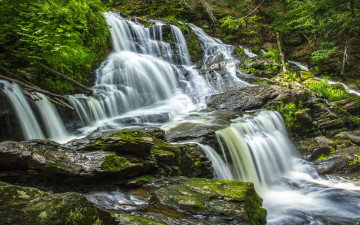 Картинка природа водопады лес камни вода поток водопад